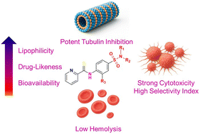 Graphical abstract: Design, synthesis, and biological evaluation of sulfonamide-functionalized pyridine carbothioamides as potent tubulin-targeting anticancer agents