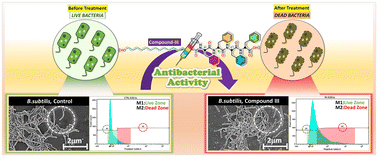 Graphical abstract: Unravelling the antibacterial performances of a homochiral d-configured tetraphenylalanine appended 16-HPA derivative based mechanoresponsive and proteolytically stable hydrogel