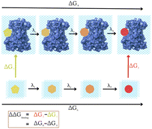 Graphical abstract: Evaluating the FEP+ protocol for predicting binding affinity of congeneric ligands towards various soluble proteins