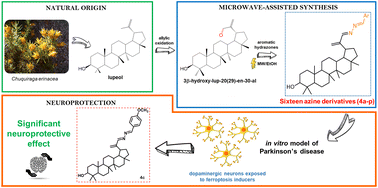 Graphical abstract: Synthesis and evaluation of lupeol-derived triterpenic azines as potential neuroprotective agents