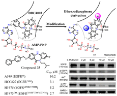 Graphical abstract: Design, synthesis and structure–activity relationship analysis of dibenzodiazepinone derivatives against Osimertinib resistant NSCLC