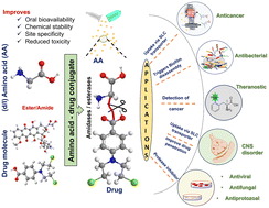 Graphical abstract: Stereoselective design of amino acid bioconjugates: targeting strategies and physicochemical optimization