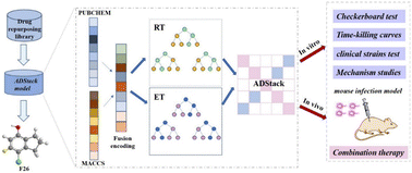 Graphical abstract: Discovery of novel polymyxin E adjuvants against Acinetobacter baumannii guided by a stacking-based machine learning model