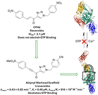 Graphical abstract: Discovery of an internal alkyne warhead scaffold for irreversible hTG2 inhibition