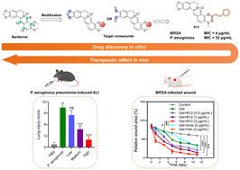Graphical abstract: Synthesis, antibacterial activity, and mechanistic characterization of novel 9-substituted berberine derivatives