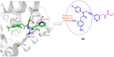 Graphical abstract: Discovery of RP-37 analogues as potent, selective irreversible inhibitors targeting DNA polymerase theta (POLθ)