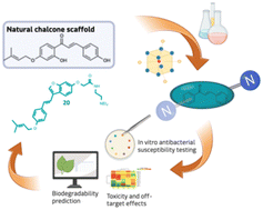 Graphical abstract: Oxyprenyl–chalcones as antibacterial hits: design of experiments-optimized synthesis, antibacterial evaluation, early drug-like profiling and biodegradability prediction