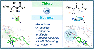 Graphical abstract: Parallels between the chloro and methoxy groups for potency optimization