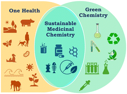 Graphical abstract: The many facets of sustainability in medicinal chemistry: our personal experience