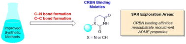 Graphical abstract: Recent advances in glutarimide chemistry for cereblon-mediated targeted protein degradation: developments in synthesis and diversification