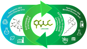 Graphical abstract: Integrating green synthesis and liquid–liquid extraction of lidocaine in deep eutectic solvents