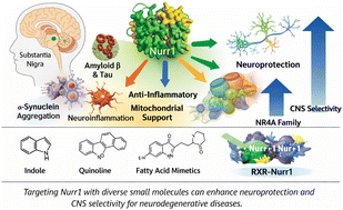 Graphical abstract: Structure–activity landscape of Nurr1 (NR4A2) modulators: medicinal chemistry strategies for neurodegenerative disease intervention