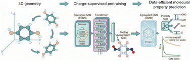 Graphical abstract: Integrating equivariant architectures and charge supervision for data-efficient molecular property prediction