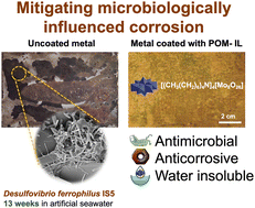 Graphical abstract: Multifunctional polyoxomolybdate ionic liquid coatings for mitigating microbiologically influenced corrosion