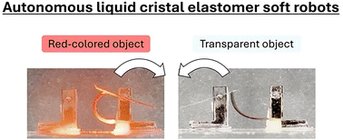 Graphical abstract: Bridging sensing and action: autonomous object sorting by reprogrammable liquid crystal elastomers