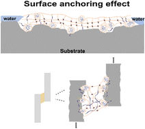 Graphical abstract: Water-induced phase separation enables underwater adhesion far exceeding dry adhesion