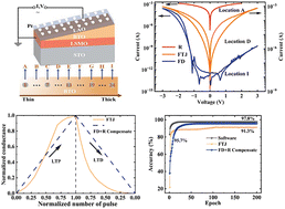 Graphical abstract: Adaptive ferroelectric memristors with high-throughput BaTiO3 thin films for neuromorphic computing