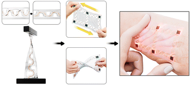 Graphical abstract: Designing pores to suppress crack generation at the interface between serpentine interconnects and elastomers for highly durable stretchable electronics