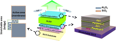 Graphical abstract: Highly reliable organic light-emitting diodes with optimized fill factor based on rotational membrane design for stretchable displays
