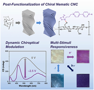 Graphical abstract: Electro-switchable cellulose nanocrystal films with chiroptical properties