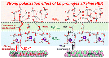 Graphical abstract: The strong polarization effect of lanthanide metals for efficient alkaline hydrogen evolution