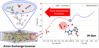 Graphical abstract: Molecular insights into CO2-to-bicarbonate transformation in functionalized anion exchange ionomers for electrochemical separations