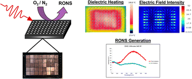 Graphical abstract: Applying spoof-plasmonic metasurfaces to microwave sample preparation of biological samples