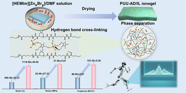 Graphical abstract: Synergistic enhancement of the mechanical properties of polyurethane ionogel by halometallate ionic liquid-induced phase separation and hydrogen bond cross-linking