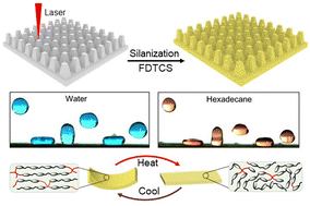 Graphical abstract: Liquid crystal elastomer-based reversible metamorphosis for loss-less droplet manipulation