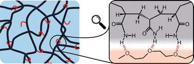 Graphical abstract: Enhanced toughness in highly entangled hydrogels via non-covalent molecular hooks