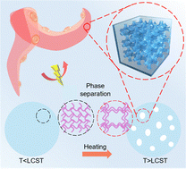 Graphical abstract: LCST-phase-separated porous liquid metal-filled hydrogel actuators with fast electro-response, enhanced strength, and low electric field