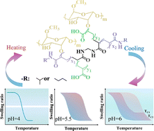 Graphical abstract: Adaptive memory of hydrogels with tunable hysteresis