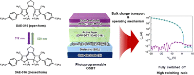 Graphical abstract: Molecular-switch-embedded organic Schottky barrier transistors for a high switching ratio