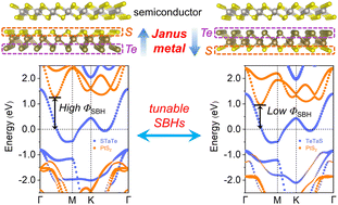 Graphical abstract: Janus metal-enabled tunable Schottky barriers in van der Waals contacts via interfacial polarization modulations
