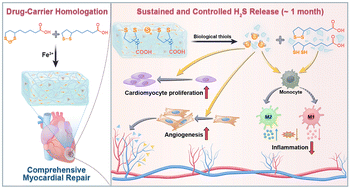 Graphical abstract: A “drug-carrier homologation” cardiac patch for myocardial infarction therapy via month-long controlled H2S release