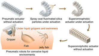 Graphical abstract: Enhancing soft robots with chemical shielding for harsh corrosive liquid environments