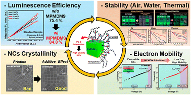 Graphical abstract: Pb–S coordination-assisted in situ ligand engineering of CsPbBr3 nanocrystals using (3-mercaptopropyl)methyldimethoxysilane for enhanced robustness and optoelectronic properties