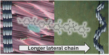 Graphical abstract: Competition between mirror symmetry breaking and translation symmetry breaking in ferroelectric liquid crystals with increasing lateral substitution