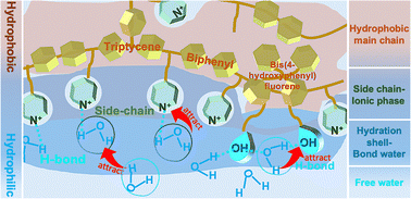Graphical abstract: Microphase water control utilizing highly hydrophilic anion-exchange ionomers