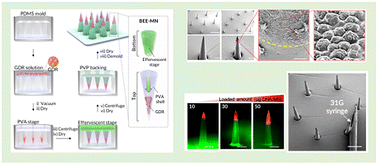 Graphical abstract: DNA-based Bi-layered effervescent ejecting microneedle (BEE MN) for glucose-responsive insulin delivery