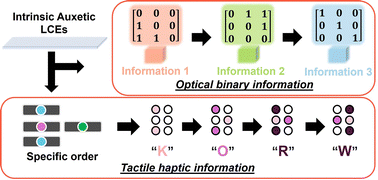 Graphical abstract: Multidimensional, multilevel information storage and encryption in auxetic liquid crystal elastomers