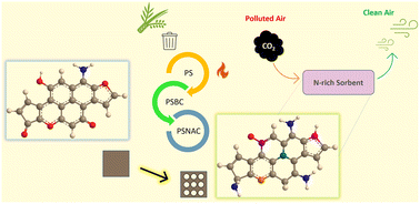 Graphical abstract: Porosity and basicity tuned biomass-derived activated carbon enhancing CO2 capture