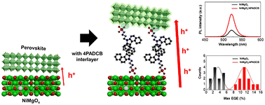 Graphical abstract: Interface-modified NiMgOx layers with dibenzocarbazole molecules for high-efficiency perovskite light-emitting diodes