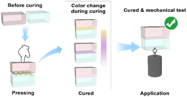 Graphical abstract: A microencapsulated linseed oil adhesive based on photosensitive indication: a smart material for visualized curing monitoring