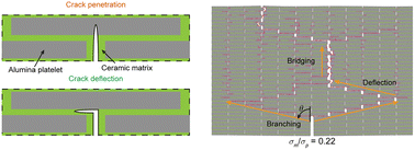 Graphical abstract: Achieving strength and toughness limits of anisotropic microstructured alumina ceramics through interface engineering