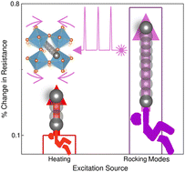 Graphical abstract: Correlated terahertz phonon–ion interactions control ion conduction in a solid electrolyte