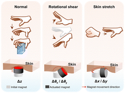 Graphical abstract: Programming magnetic composites and phase change materials for multimodal haptic interfaces with integrated self-sensing toward adaptive and proprioceptive haptic feedback