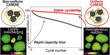 Graphical abstract: Microenvironments between cathode active materials and solid electrolytes for all-solid-state batteries