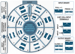 Graphical abstract: Digital shape-morphing thermo-mechanical metamaterials