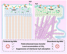 Graphical abstract: Ordering-induced concentration effect: a mass transport boost for CO2 electroreduction